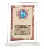 ODAK KUPA - Cam Plaketler - CM-085 A - 18x21 cm
