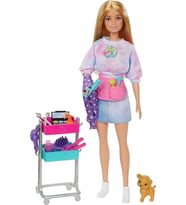 Barbie Stilist Bebekler Oyun Setleri ‎HNK95 (Çok Renkli)