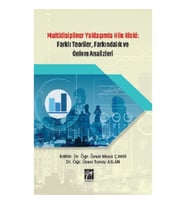 Multidisipliner Yaklaşımla Hile Riski Farklı Teoriler, Farkındalık ve Önlem Analizleri