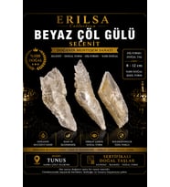 Sertifikalı Beyaz Çöl Gülü Selenit Taşı Kütle - Cüzdan Taşı 2-3 cm Doğal Ham Kristal Bereket Taşı