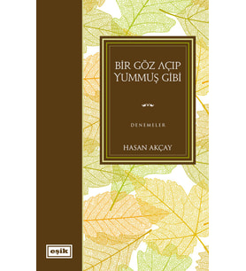 BİR GÖZ AÇIP YUMMUŞ GİBİ