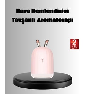 Aromaterapi Uyumlu Hava Nemlendirici – Ultrasonik Sessiz Difüzör - Lisinya