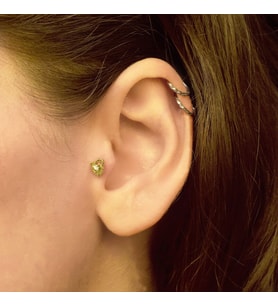 Taşlı Yunus Balığı Tragus Küpe (Gold)