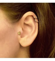 Taşlı Yunus Balığı Tragus Küpe (Gold)