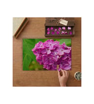 Mor Çiçekler Tasarımı 240 parça Ahşap Puzzle Ahşap Kutuda MP07730