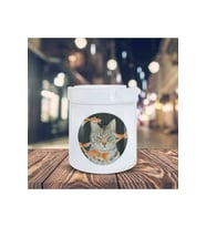 Çizimsel Küllük Huysuz Kedi Baskılı Kül Tablası Kl-207