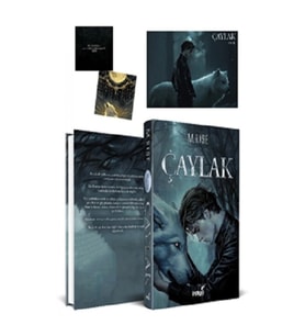 Çaylak (Ciltli)