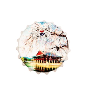 Güney Kore Temalı Magnet Kapak Açacak (Karışık)