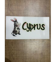 23X12 CM CYPRUS YZI EŞŞEK ARMA YAMA DİKKİŞ AKSESUARI APLİKE