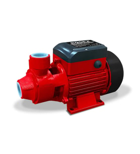 Rodex RDX874 Su Pompası 750W