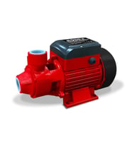 Rodex RDX874 Su Pompası 750W