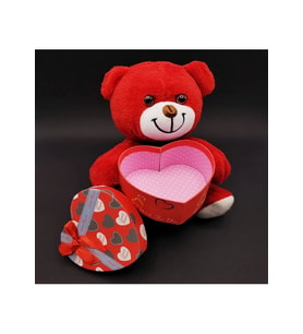 Kırmızı Kalp Kutulu Peluş Ayı 25 Cm (Karışık)