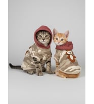 Safari Friends Kapüşonlu Kedi Sweatshirt – Küçük Irklar (Karışık)
