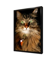 Kedi Çerçeveli Mdf Tablo