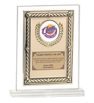 ODAK KUPA - Cam Plaketler - CM-089 A - 18x21 cm