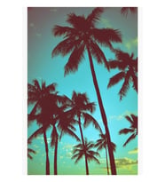Tropikal Palms Tablo Ahşap Poster Dekoratif