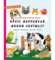 Evcil Hayvanlar Neden Sevimli?