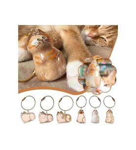 Kedi Şeffaf Anı Anahtarlığı - Kedi Figürlü - Karışık Model