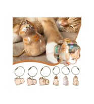 Kedi Şeffaf Anı Anahtarlığı - Kedi Figürlü - Karışık Model