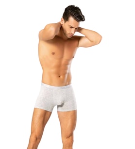 Looksense Erkek Dude İnce Bel Lastikli Likralı Boxer 1200 (Gri)