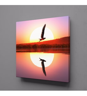 GÜN DOĞUŞU VE BATIŞI KUŞ KANVAS TABLO 100x100cm (Karışık)