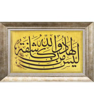 GÜMÜŞ ÇERÇEVELİ TABLO N624