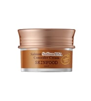 Skinfood Salmon Sodium Dna Concealer Cream No.1 Vanilla