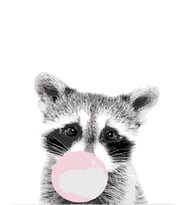 Sakız Çiğneyen Rakun Sayılarla Boyama Seti 40x 50 cm ( Tuval Şasesine Gerili)