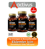 Northway Kolajen tip 2 Eklem desteği Tam Destek Metilsülfonilmetan MSM Type II 3'lü Paket