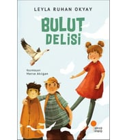 Bulut Delisi