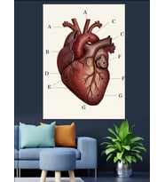 Anatomik İnsan Kalp Çizimi Dekoratif Kanvas - Mdf Ahşap Tablo
