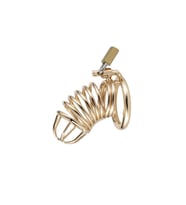 Gold Penis Kilidi 45mm