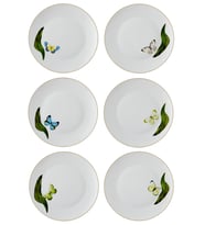 The Mia Folium Servis Tabağı 6 Kişilik (Çok Renkli)