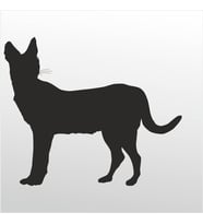 Folyo Sticker Kedi 50cm Uzunluk (Karışık)