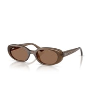 Ray-Ban RB4441D 677973 Unisex Güneş Gözlüğü