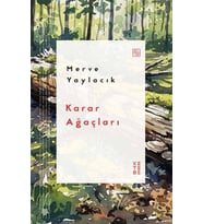 Merve Yaylacık Karar Ağaçları