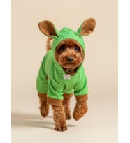Matcha Bunny Kulaklı Köpek Tulumu Kıyafeti (Yeşil)