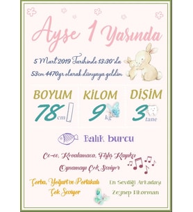 Sevimli Tavşan Temalı Yaş Panosu