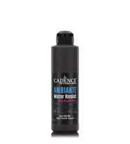 AMBIENTE SUYA DAY. AKR. BOYA AW-24 SİYAH 250ML + KATALİZÖR 10GR