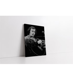 Musician