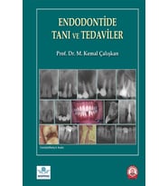 Endodontide Tanı ve Tedaviler