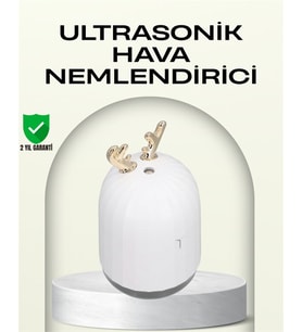 Northcity Taşınabilir 220 ml USB Mist Nemlendirici - Mini Ofis ve Seyahat Nemlendirici