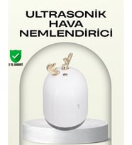 Northcity Taşınabilir 220 ml USB Mist Nemlendirici - Mini Ofis ve Seyahat Nemlendirici