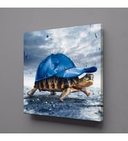 KAPLUMBAĞA KANVAS TABLO 130x130cm (Karışık)