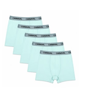 Erkek Boxer 5'li Set Carnaval Breeze Mint