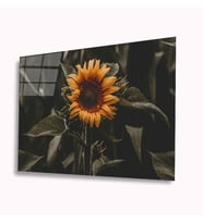 Ayçiçeği Cam Tablo 4mm Dayanıklı Temperli Cam