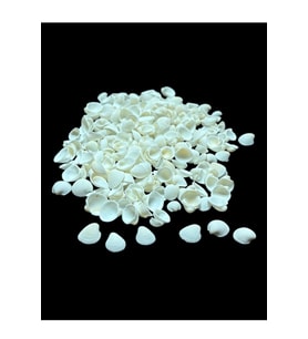 Deniz Kabukları 100 Gr NO-3-CLAMROSE