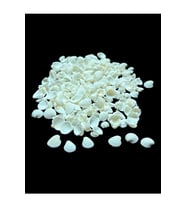 Deniz Kabukları 100 Gr NO-3-CLAMROSE