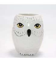 Harry Potter Hedwig Tasarım Porselen Kupa Bardak Alk4494