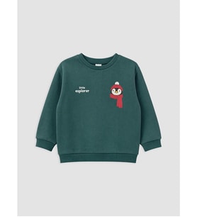 LCW baby Yeşil Baskılı Erkek Bebek Sweatshirt